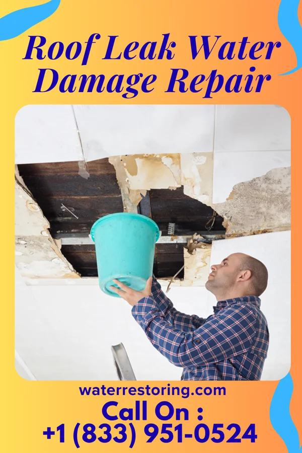 Roof Leak Water Damage Repair in Eastmont, WA